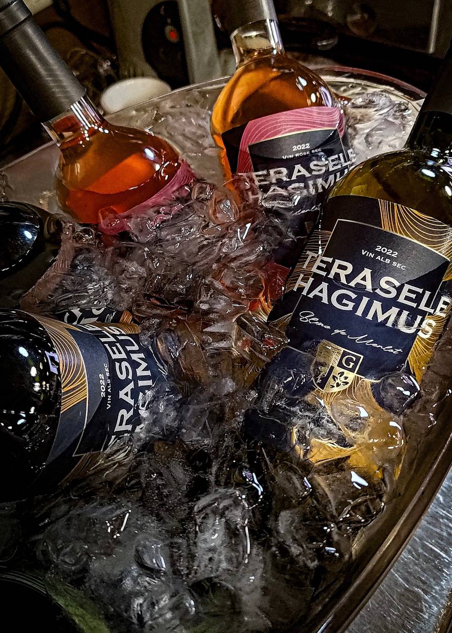 Terasele Hagimus · Tribuna Wines - Premium wine estates in Hagimus (photo 4)