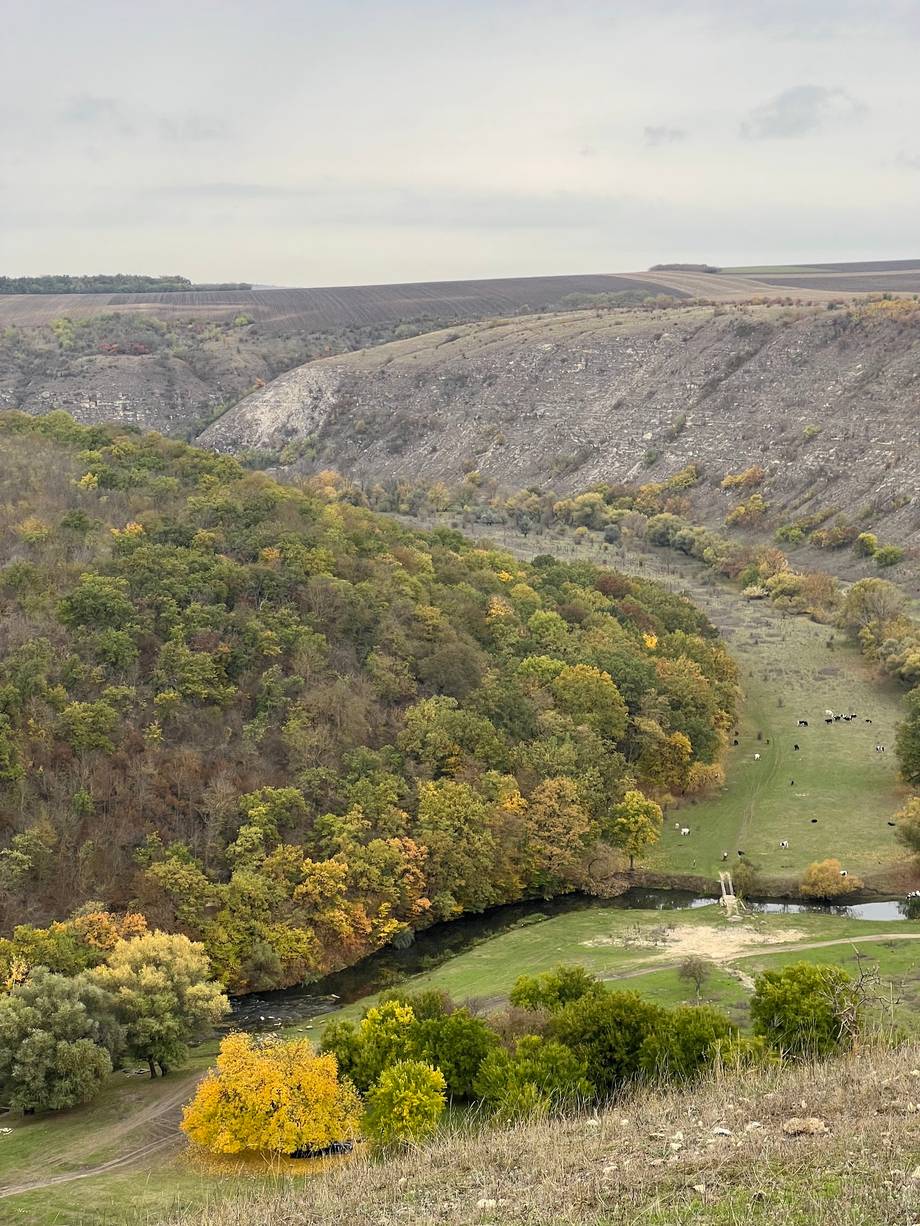 Belvedere Trebujeni · Privire spre Butuceni - Nature reserve in Trebujeni (photo 6)