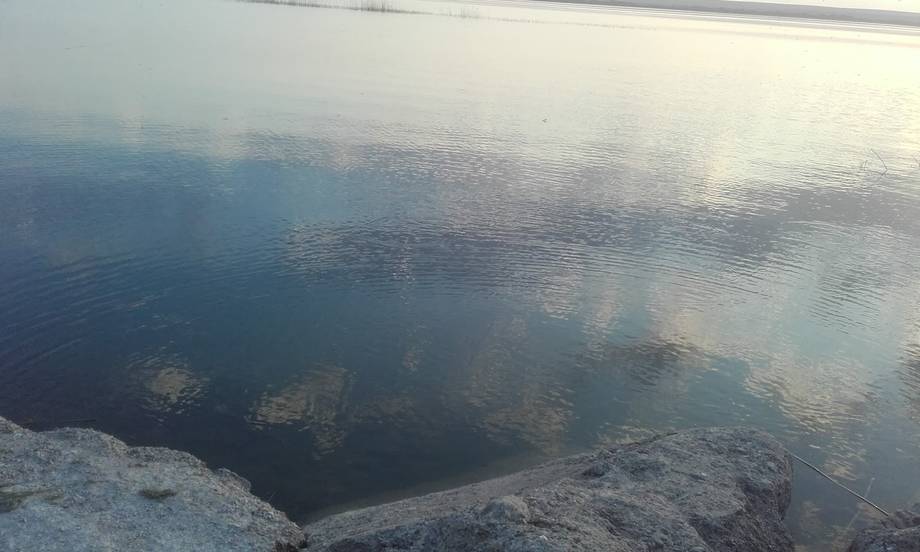 Lacul Manta - Nature reserve in Manta (photo 5)