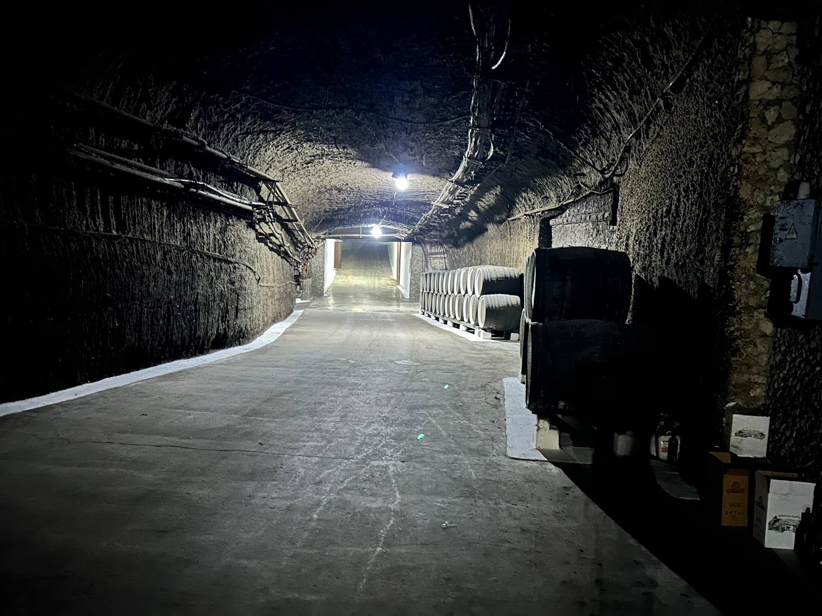 Branești Cellars - Crame mari în Brănești (foto 3)