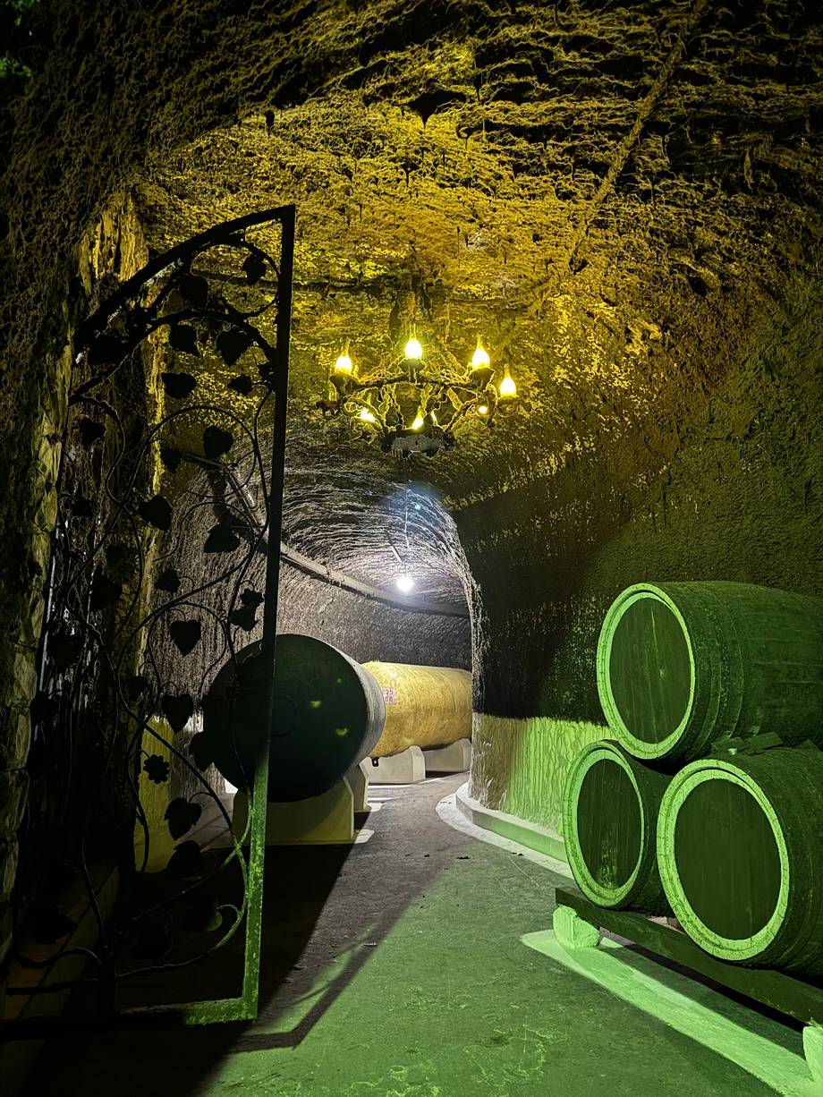Branești Cellars - Classic wine cellars in Brănești (photo 5)