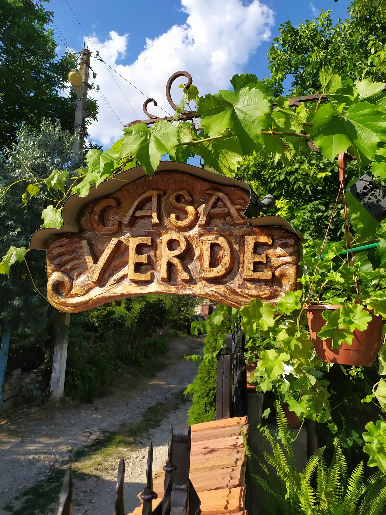Agro Pensiunea Casa Verde - Rural guesthouse in Trebujeni (photo 3)