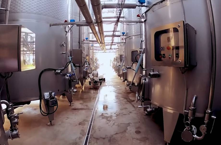 Fautor Winery - Premium wine estates in Tigheci (photo 2)