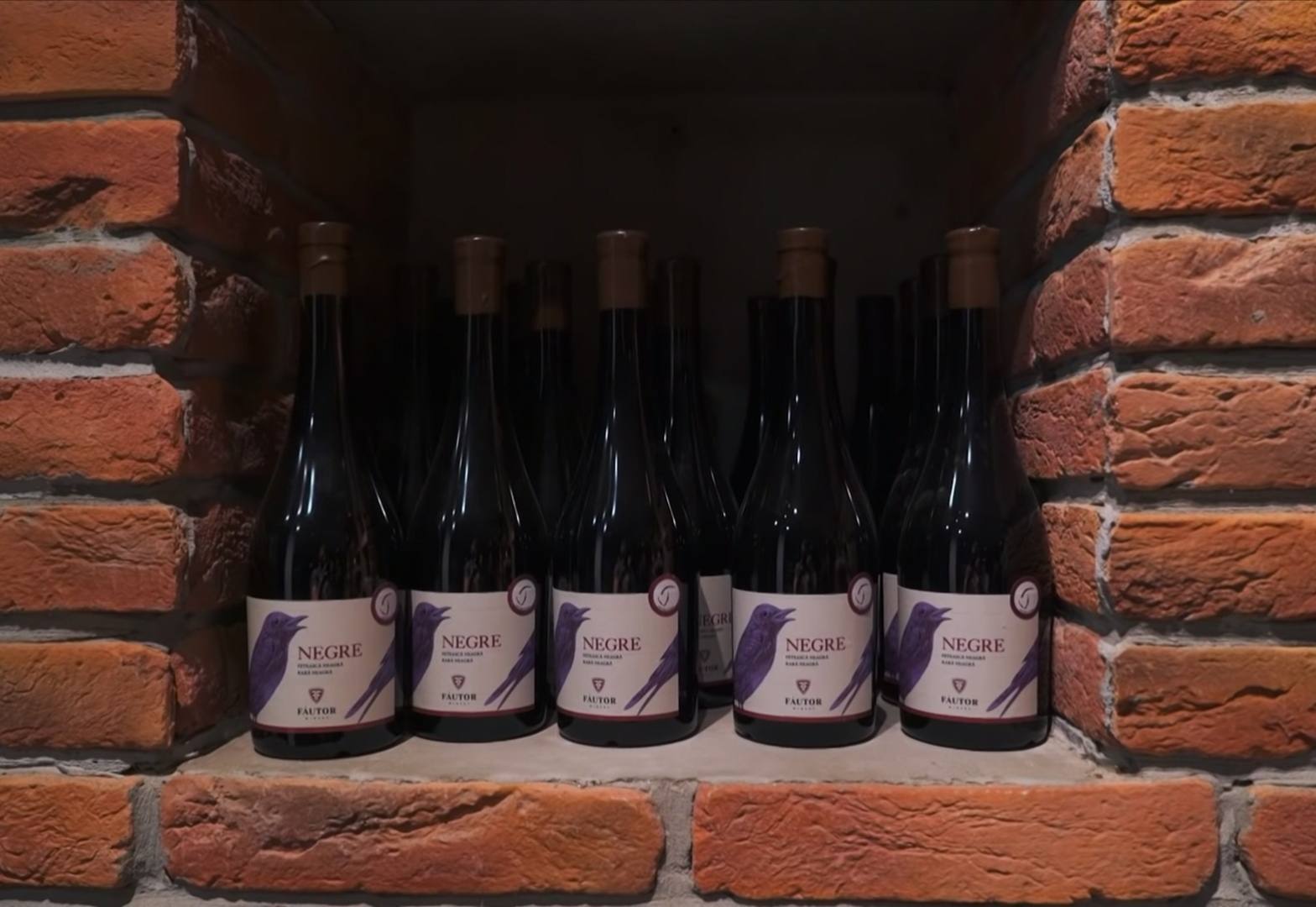 Fautor Winery - Premium wine estates in Tigheci (photo 3)