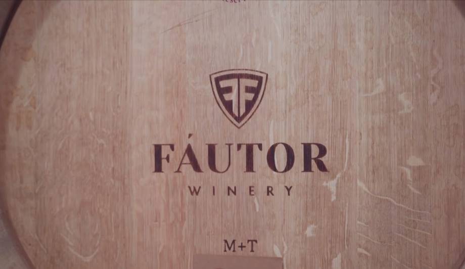 Fautor Winery - Premium wine estates in Tigheci (photo 4)