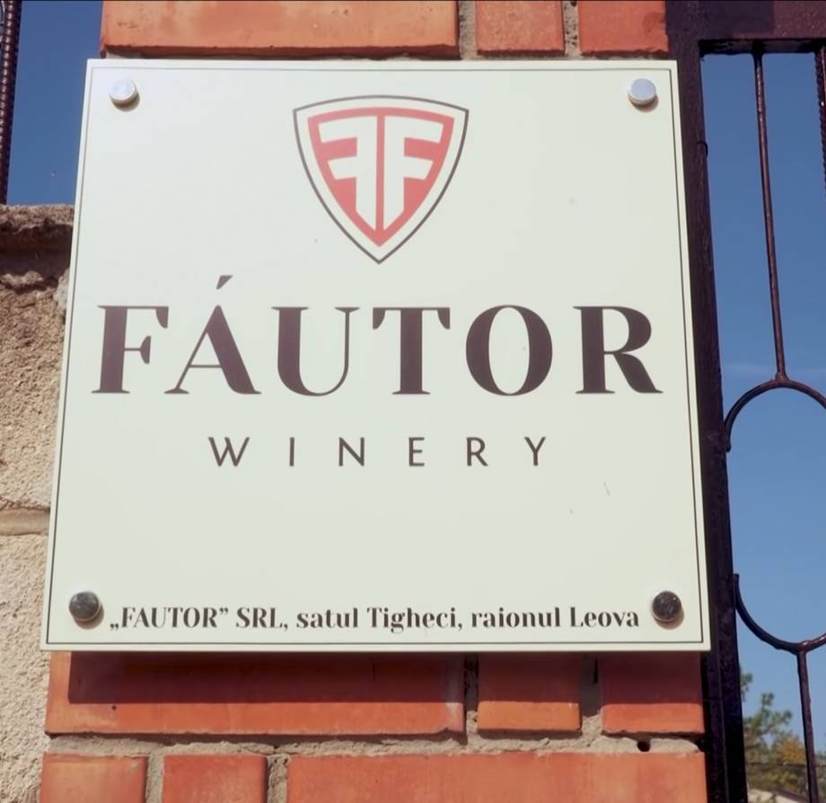 Fautor Winery - Premium wine estates in Tigheci (photo 6)