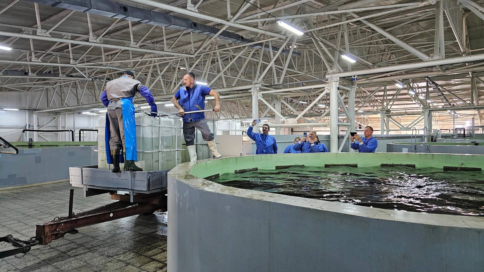 Aquatir Sturgeon Farm - Fermă pentru familii în Tiraspol (foto 2)