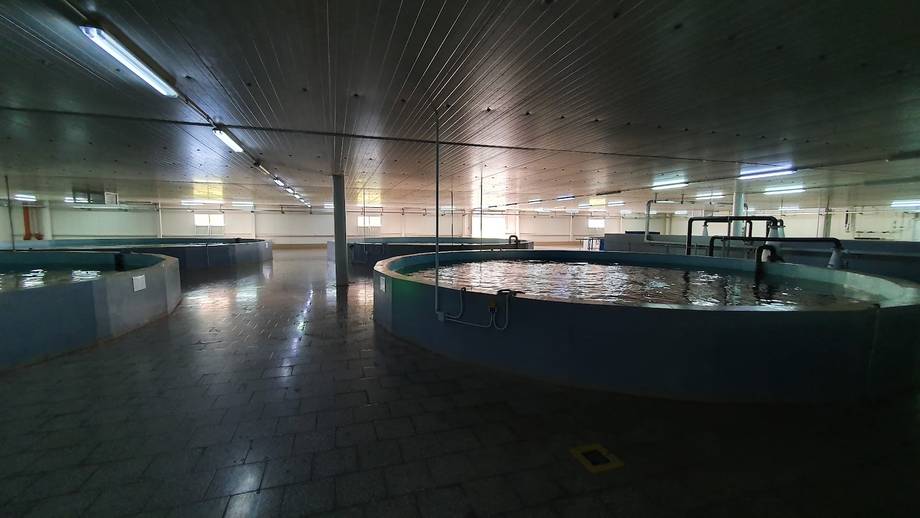 Aquatir Sturgeon Farm - Family farm in Tiraspol (photo 5)