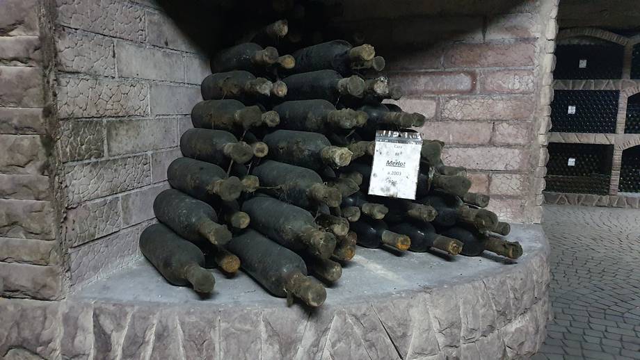 Lion Gri - Premium wine estates in Ciorescu (photo 2)