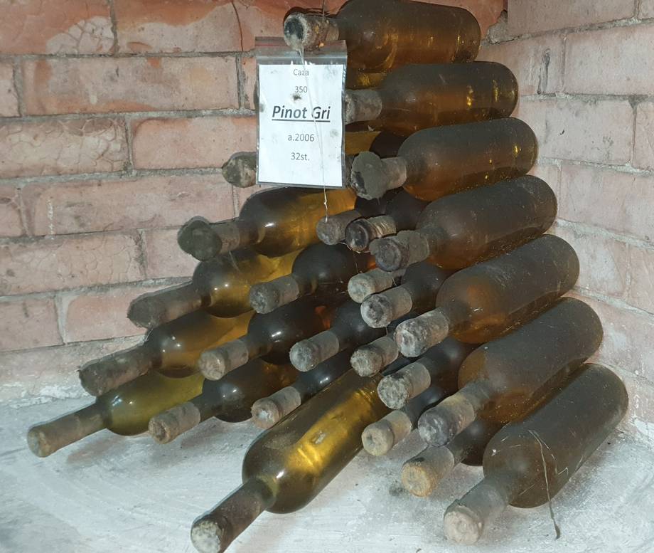 Lion Gri - Premium wine estates in Ciorescu (photo 3)
