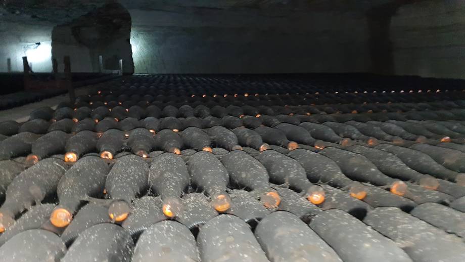 Lion Gri - Premium wine estates in Ciorescu (photo 5)