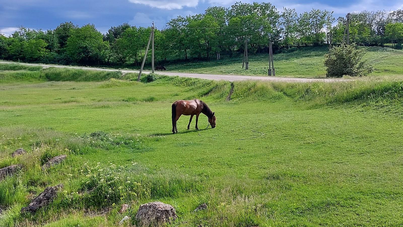 Stâncile Butești · Toltrele Prutului - Nature reserve in Butești (photo 3)