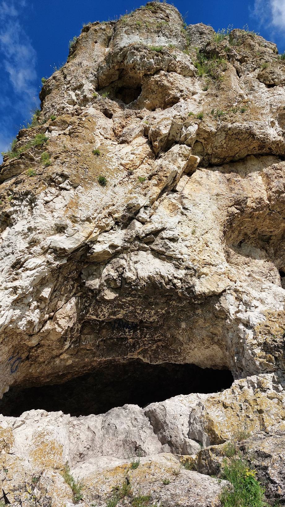Stâncile Butești · Toltrele Prutului - Rezervație naturală în Butești (foto 5)