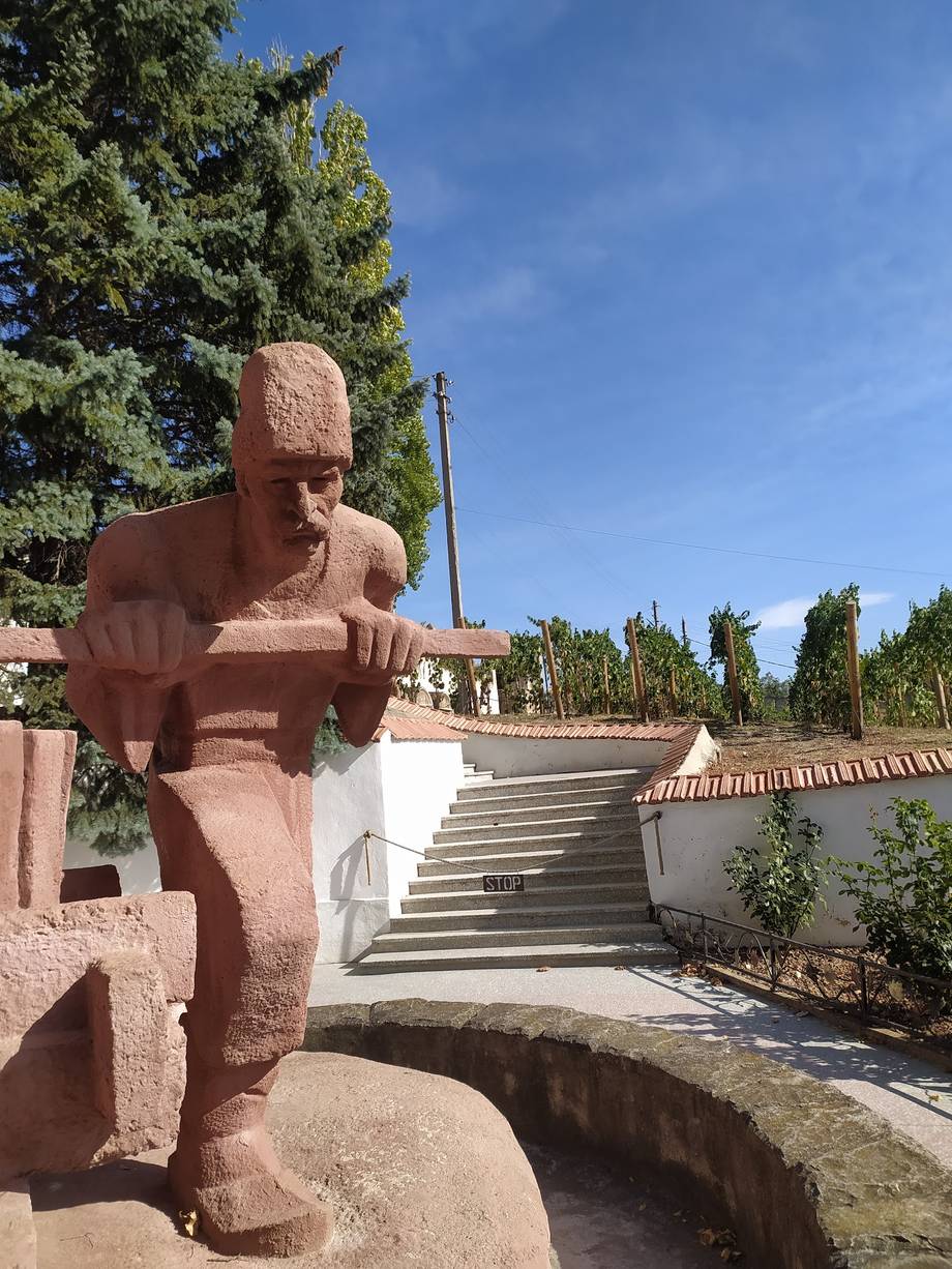 Carlevana Winery - Crame premium în Merenii Noi (foto 4)