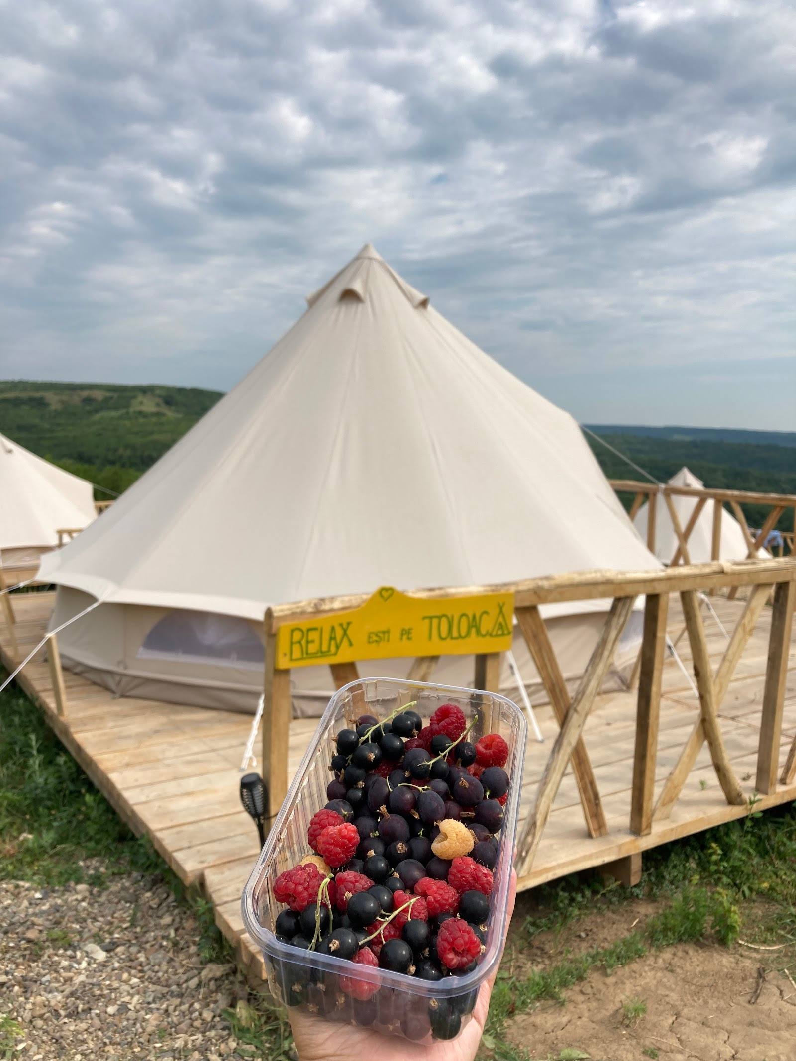 Camping „Pe Toloacă" - Camping în Milești (foto 2)