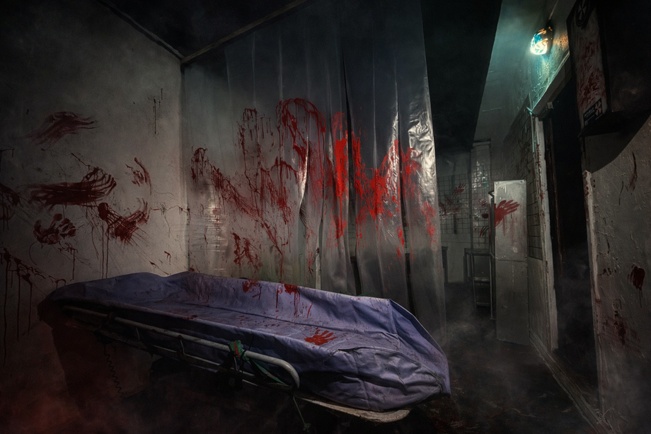 Psycho Quests & Horror Cinema - Escape room in Râșcani (photo 5)