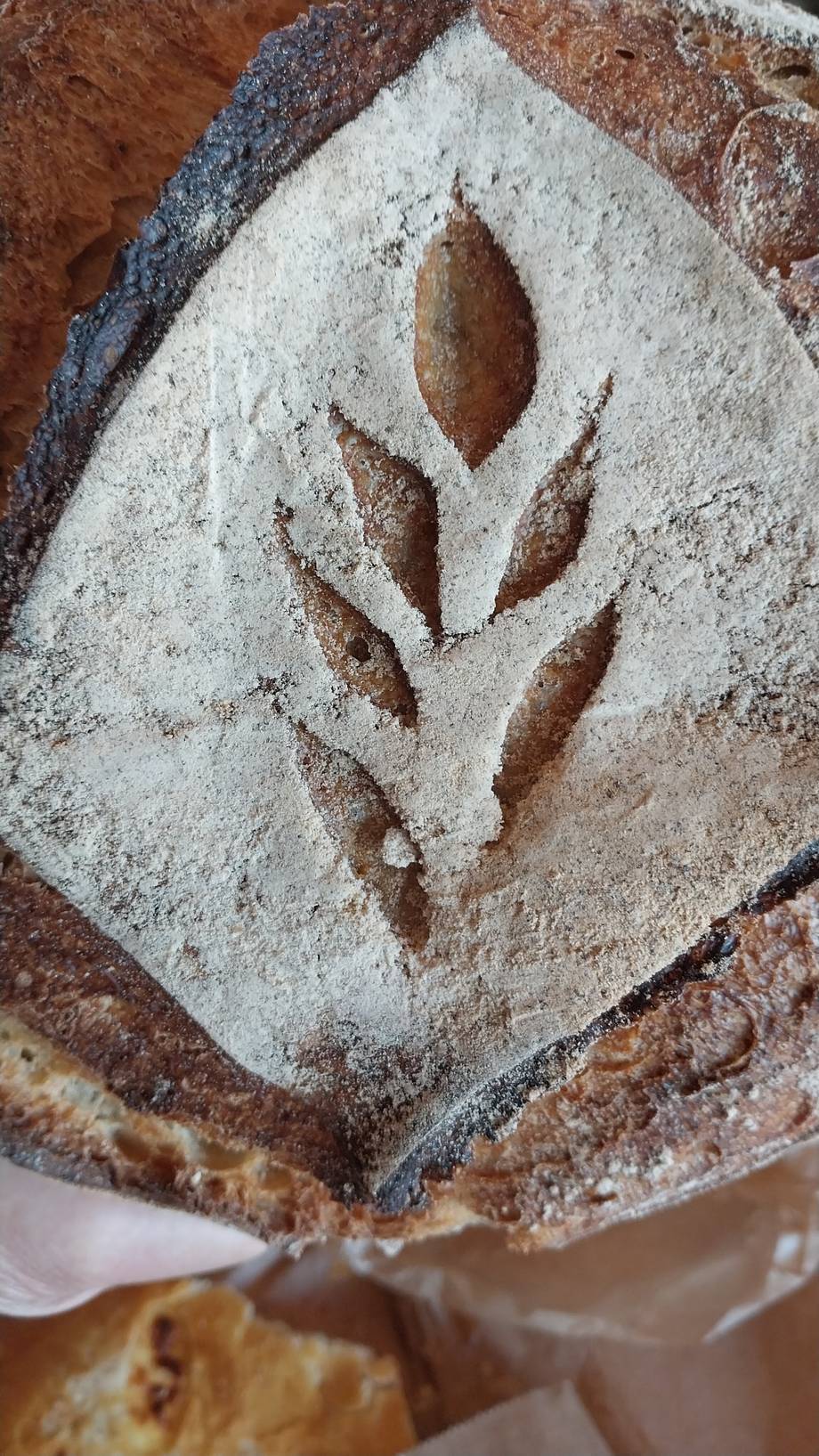 Iarba Noastră - Traditional bakery in Centru (photo 6)