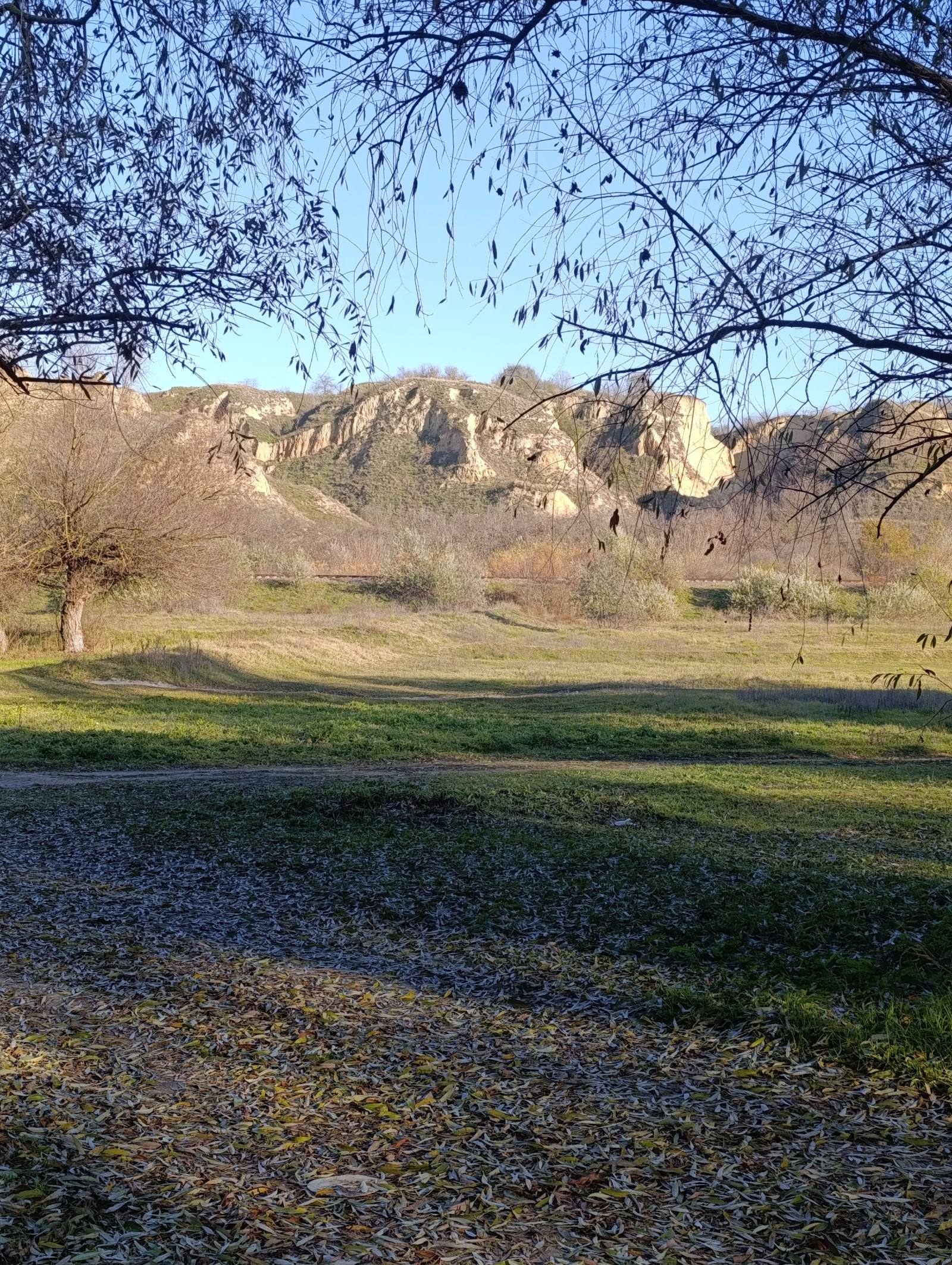 Rezervația Biosferei „Prutul de Jos" - Nature reserve in Slobozia Mare (photo 2)