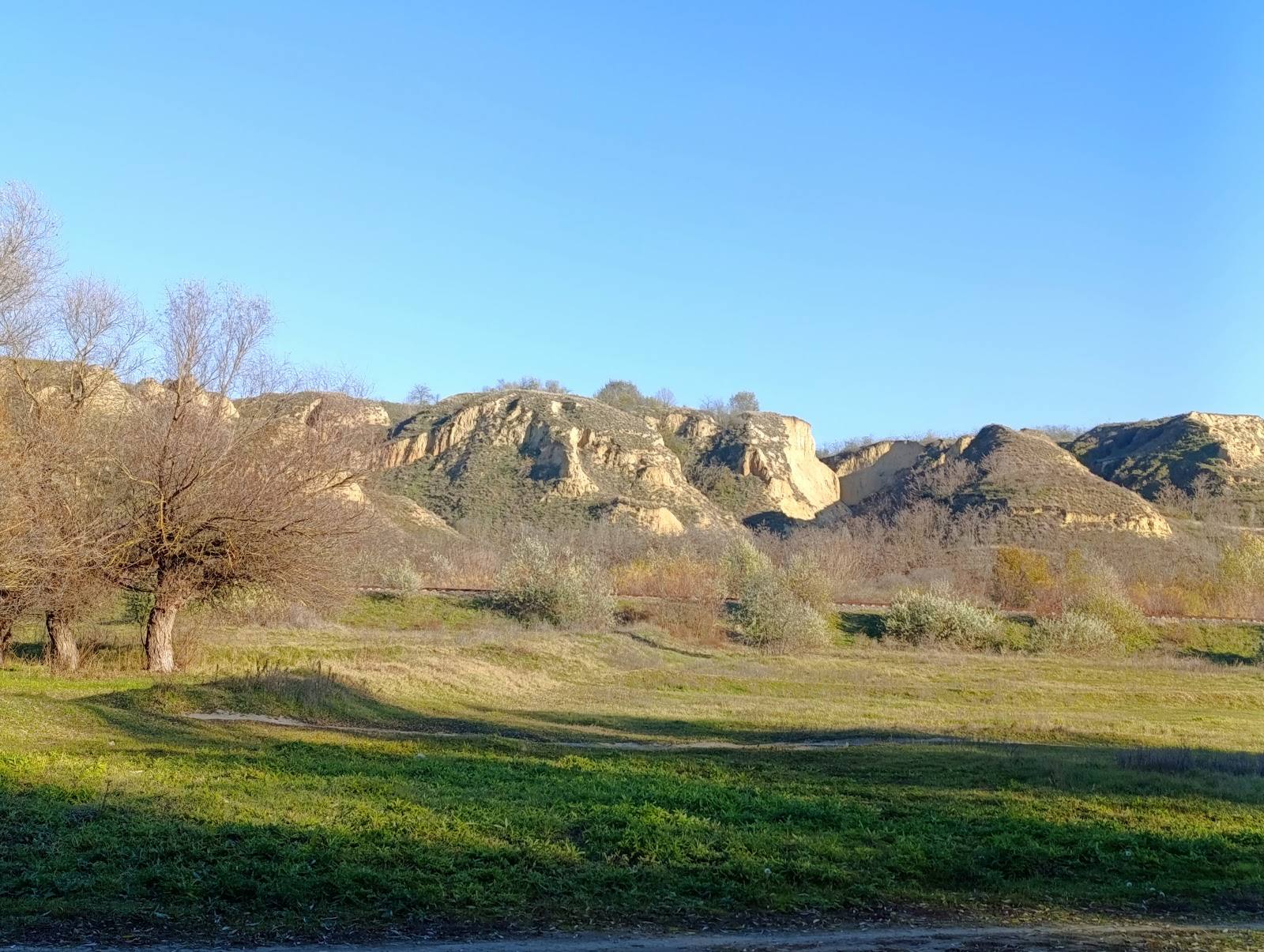 Rezervația Biosferei „Prutul de Jos" - Nature reserve in Slobozia Mare (photo 3)