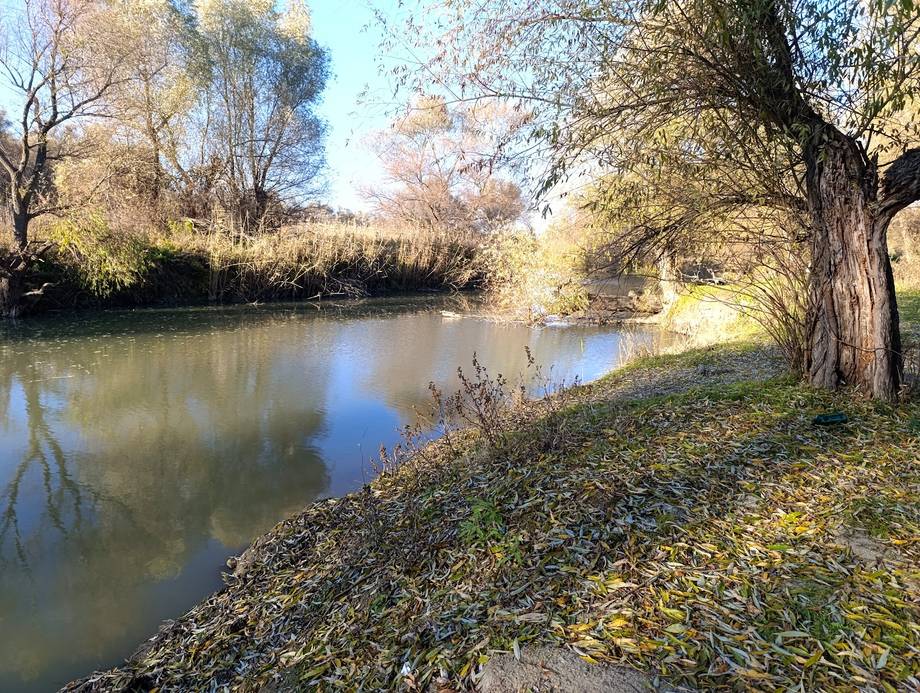 Rezervația Biosferei „Prutul de Jos" - Nature reserve in Slobozia Mare (photo 4)
