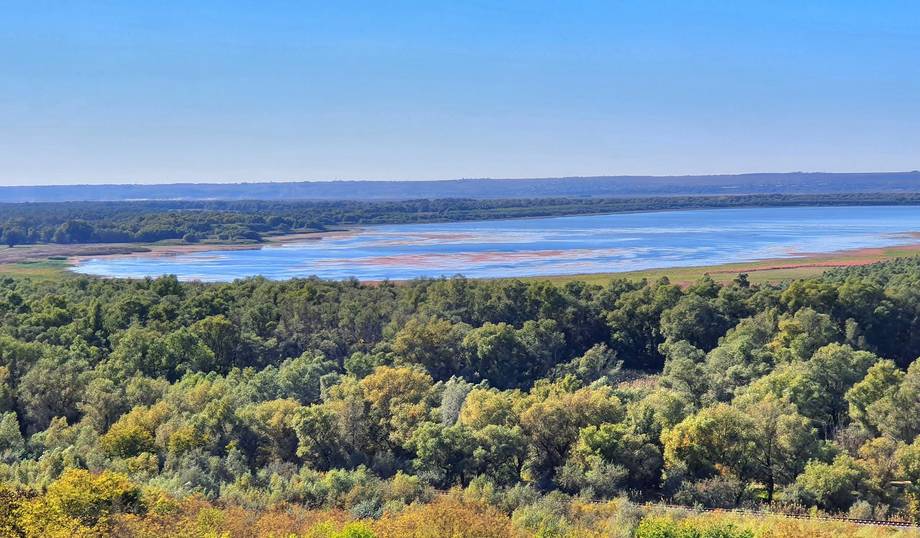 Rezervația Biosferei „Prutul de Jos" - Nature reserve in Slobozia Mare (photo 5)