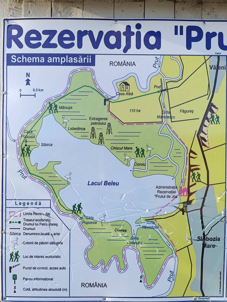 Rezervația Biosferei „Prutul de Jos" - Nature reserve in Slobozia Mare (photo 6)