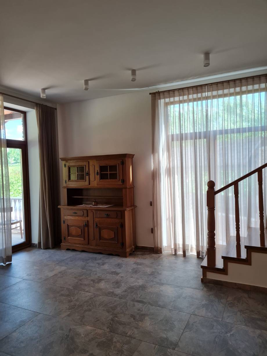 Pensiunea Casa Rândunicii - Rural guesthouse in Trebujeni (photo 6)
