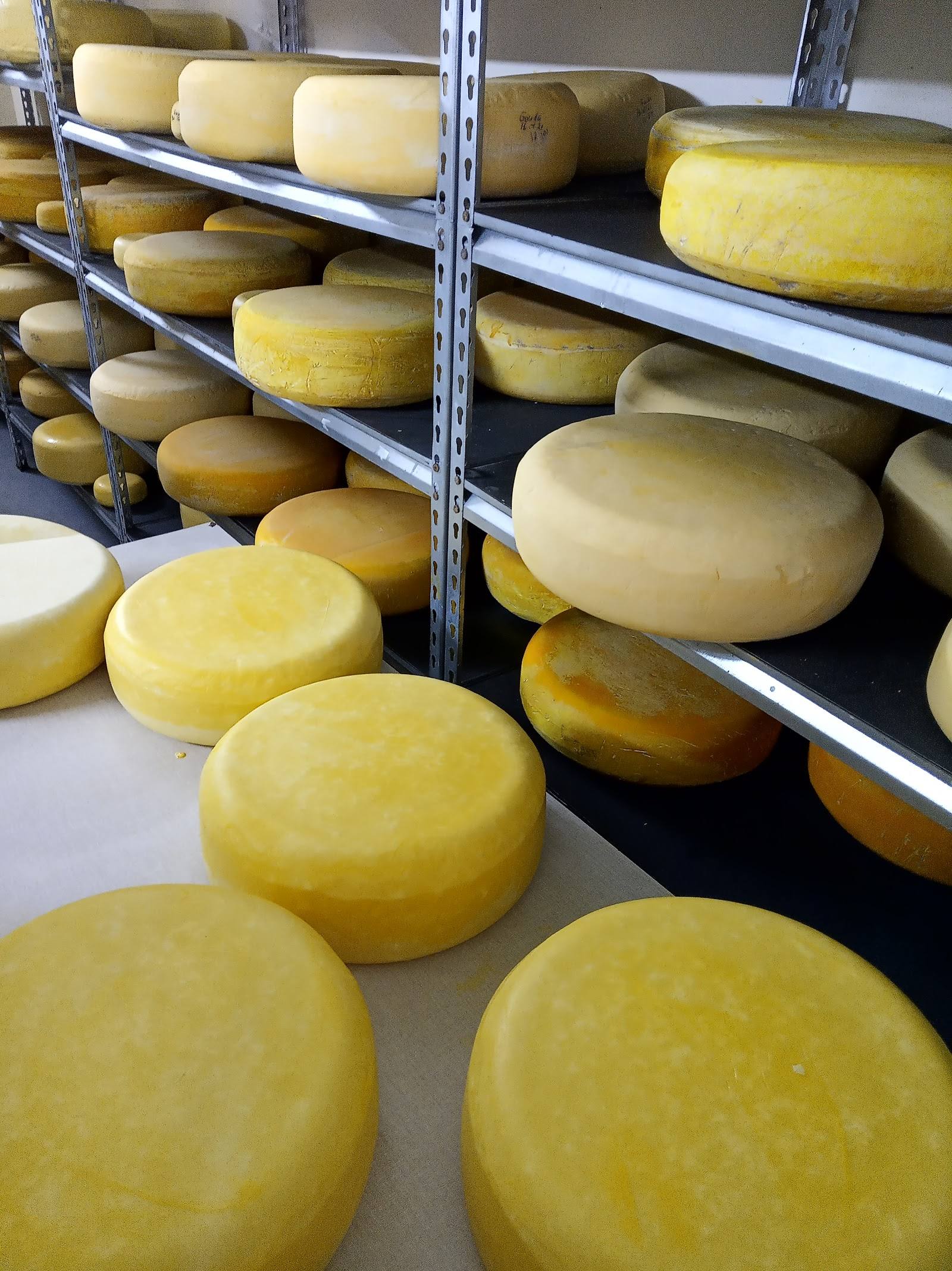 Dancu Tabita · Cașcaval de Dancu - Cheese dairy farm in Dancu (photo 2)