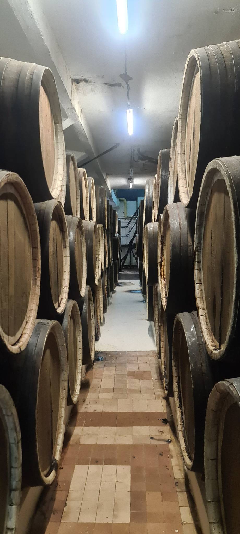 Bardar Winery - Дивин-винокурня, Bardar (фото 6)