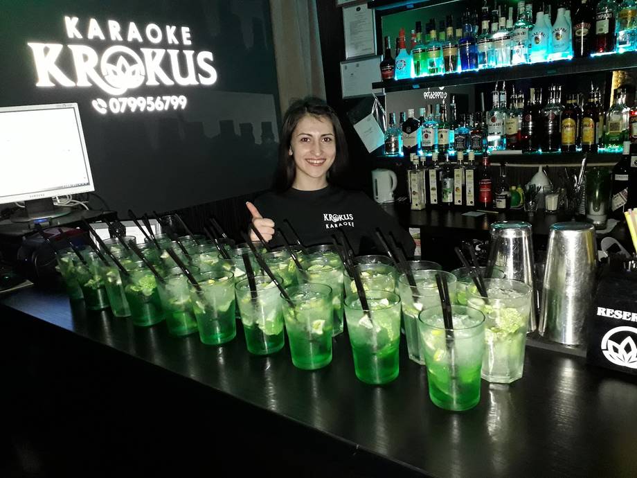 Karaoke Krokus - Karaoke in Botanica (photo 4)