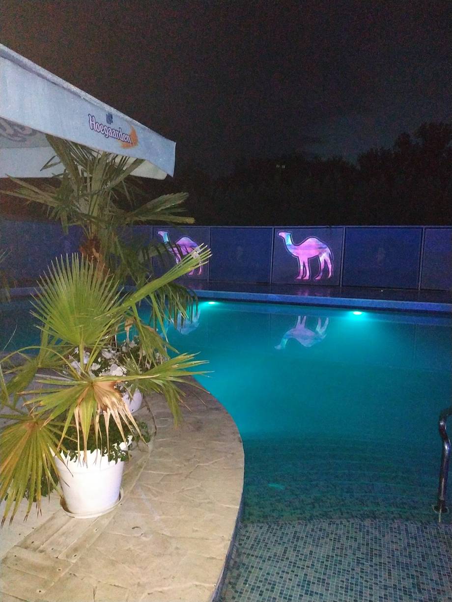 Fanconi Riviera Summer Club - Nightclub in Ghidighici (photo 5)