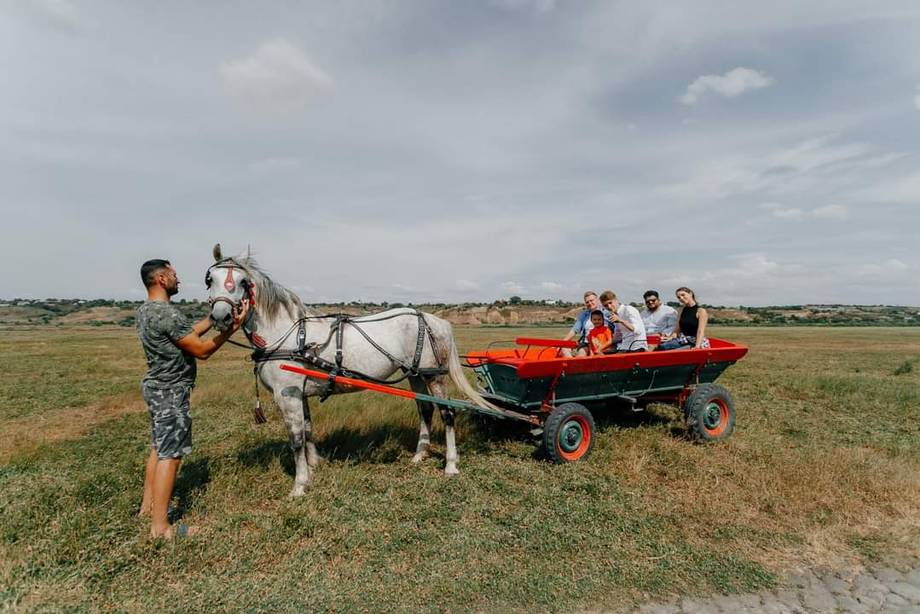 Complexul Potcoava Verde - Pensiune rurală în Slobozia Mare (foto 4)