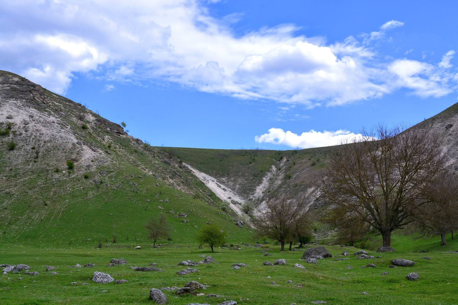 Rezervația Trebujeni - Природный заповедник, Trebujeni (фото 3)