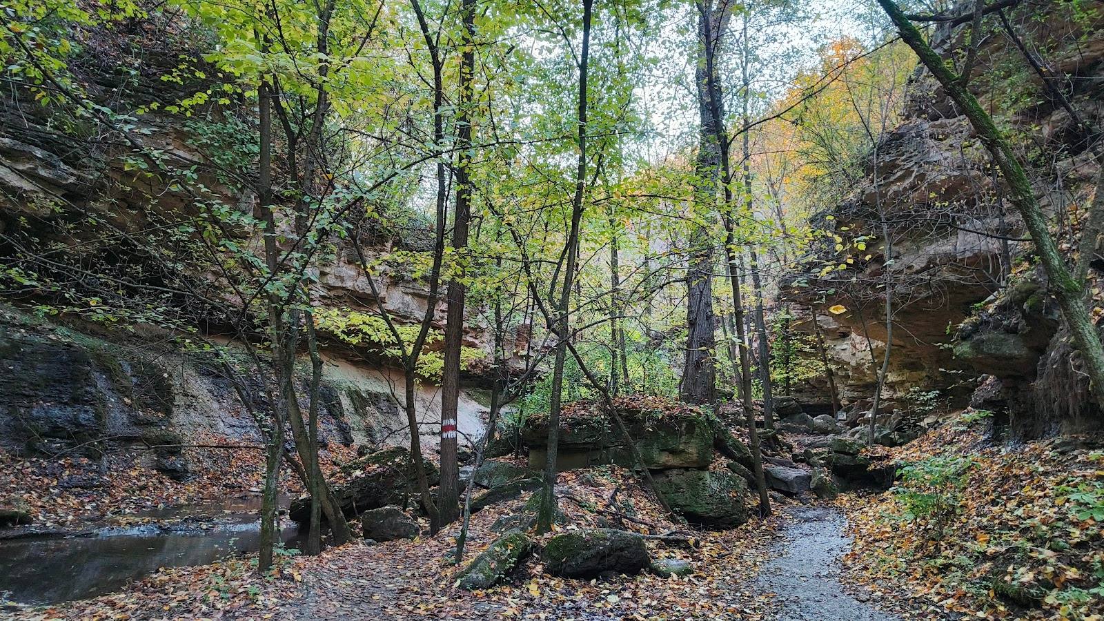 Rezervația Saharna - Nature reserve in Saharna (photo 3)