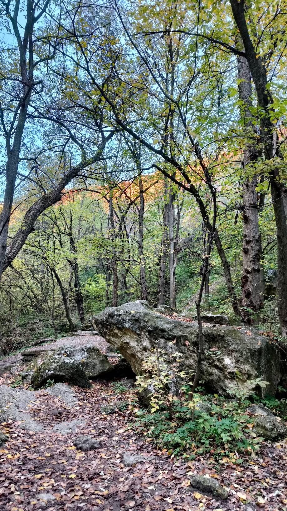 Rezervația Saharna - Nature reserve in Saharna (photo 4)