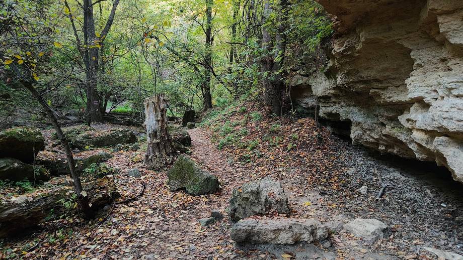 Rezervația Saharna - Nature reserve in Saharna (photo 6)