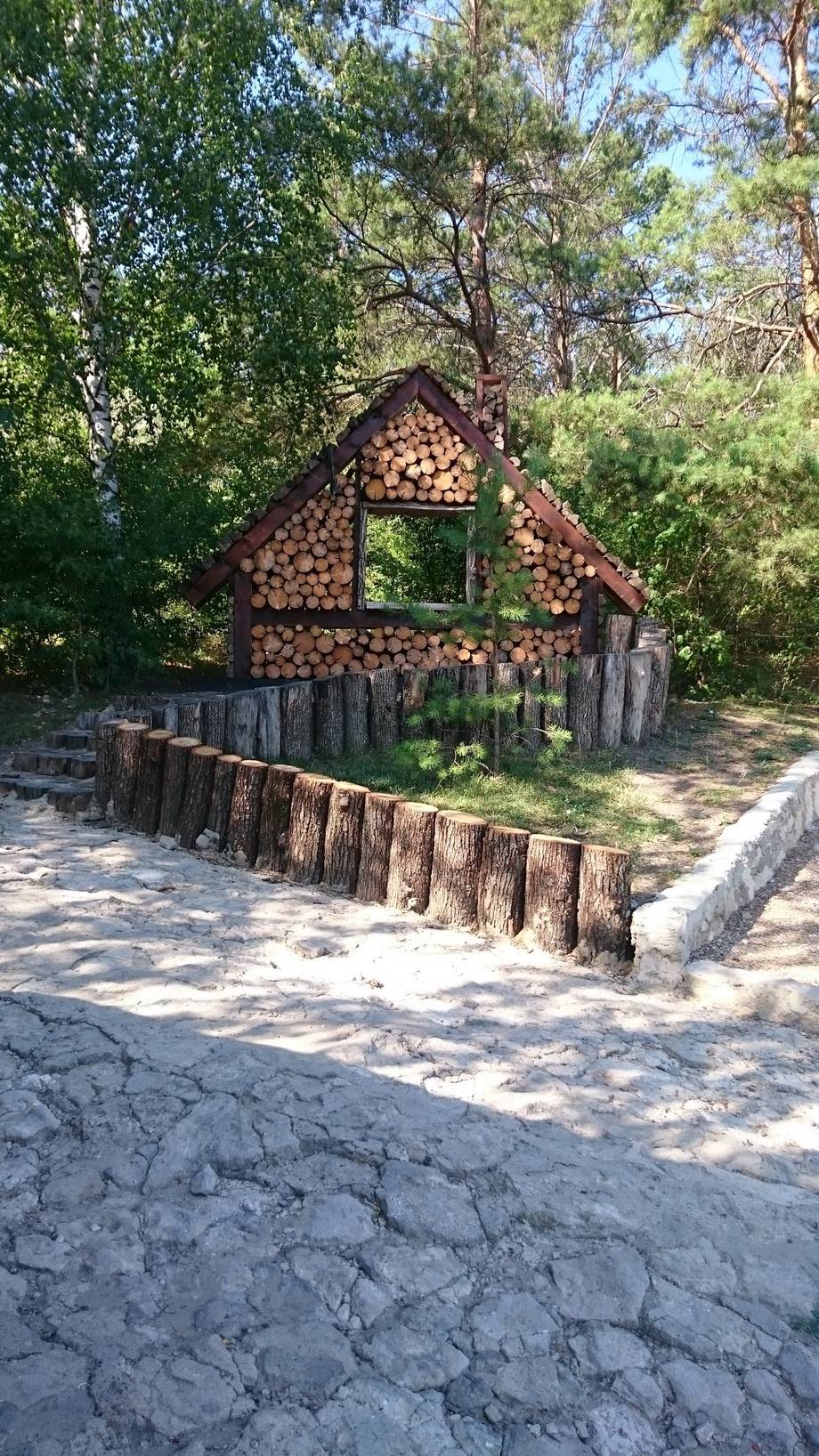 Pădurea Veselă - Camping in Ciocana (photo 14)