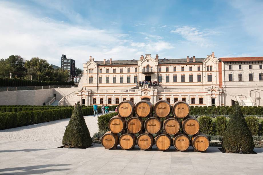 Castel Mimi - Premium wine estates in Bulboaca (photo 7)